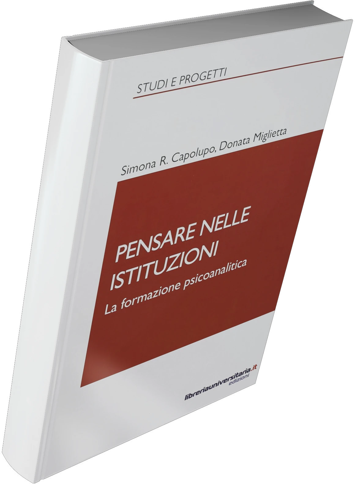 Pensare nelle Istituzioni